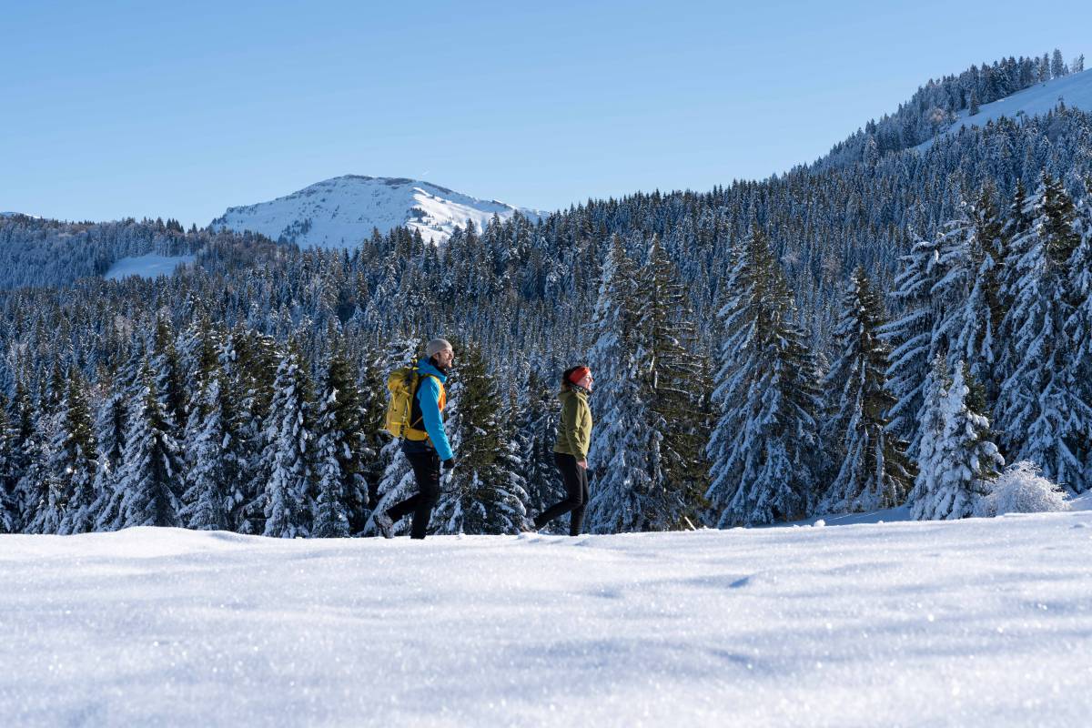 Winterwanderung in Oberstaufen vor dem Hochgrat