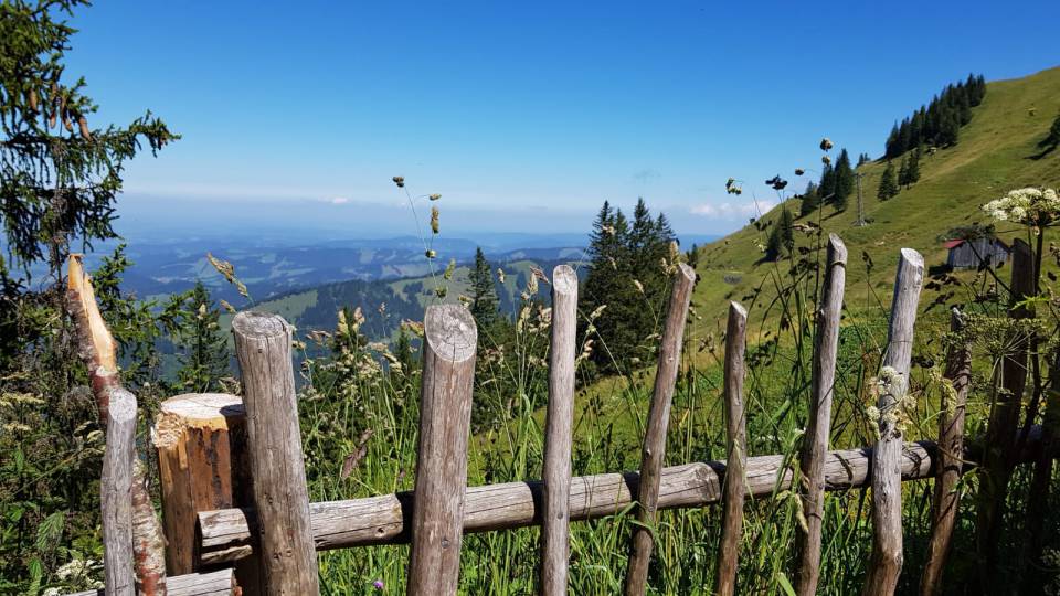 Holzgatter mit Blick auf das Tal vom Hochgrat