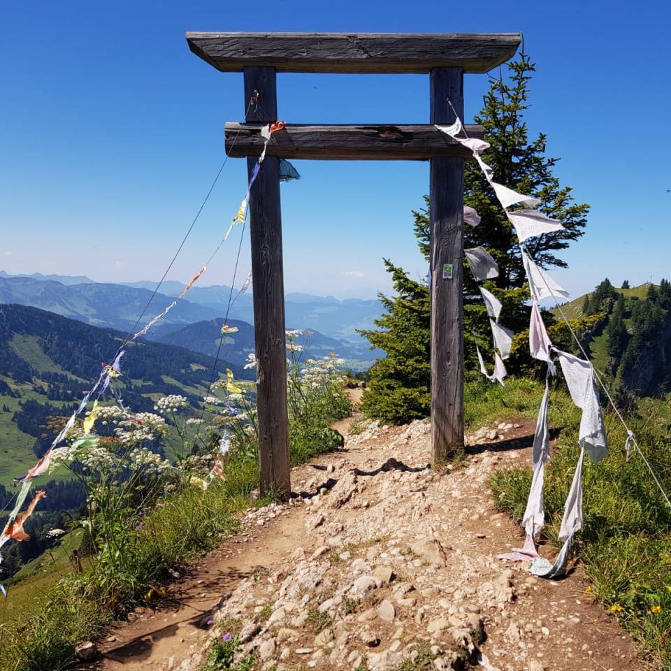 Gipfel am Hochgrat mit Panoramablick